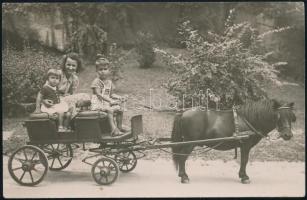 1947 Budapesti Állatkert, a gyerekek a népszerű pónifogaton fotózkodnak, vintage fotó, 9x14 cm