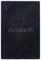 ~1900. "Pesterzsébeti Magyar Királyi Állami Kossuth Lajos Reálgimnázium - Az önképzőkör nagydíj...