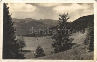 1939 Rahó, Rachov, Rahiv, Rakhiv; Bliznica (od Bukovinky) / mountain (kopott sarkak / worn corners)