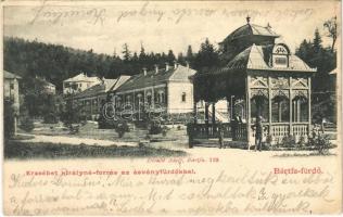 1900 Bártfa-fürdő, Bardejovské Kúpele, Bardiov, Bardejov; Erzsébet királyné forrás az ásványfürdőkkel. Divald Adolf 119. / mineral spring with spas (EK)