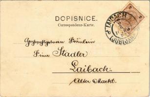 ~1899 (Vorläufer)  Ljubljana, Laibach; Erjavceve ulice / street