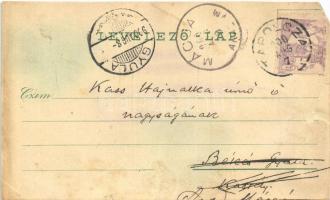 1900 Tapolca, vízimalom. Löwy B. kiadása (b)