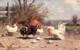 Rooster s: G. Mesmer