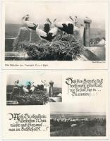 19 db MODERN burgenlandi város képeslap / 19 modern Burgenland town-view postcards