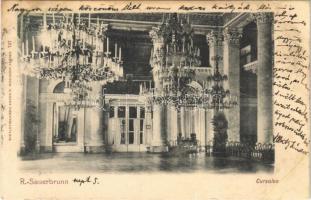 1903 Rogaska Slatina, Rohitsch-Sauerbrunn; Cursalon / spa, bath, interior