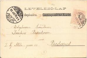 1899 (Vorläufer) Eszék, Essegg, Osijek; Fő tér, üzletek / Glavni trg. gor. grad / main square, shops