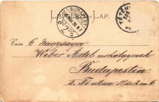 1900 Budapest XIV. Városliget, Vajdahunyad vára (kopott sarkak / worn corners)