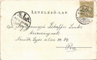 1903 Budapest V. Vigadó. Walter Haertel. C. Andelfinger & Cie. Kunstanstalt Nr. 164. Nach der Au...