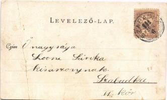 Budapest VIII. Ludoviceum, Ludovika. Walter Haertel. C. Andelfinger & Cie. Kunstanstalt Nr. 162....