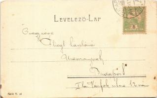 1904 Budapest II. Szent Lukács fürdő (fl)