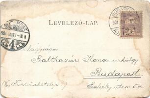 1901 Budapest I. Királyi vár és várbazár, uszályok (EM)