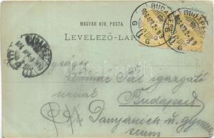 1906 Budapest XIV. Ős Budavár, bemenet, pénztár (vágott / cut)