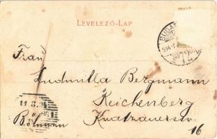 1904 Budapest V. Király-Bazár a Károlyi Mihály utcai oldalon (Rb)