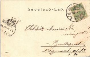 1905 Budapest VII. Keleti pályaudvar, vasútállomás, Baross szobor