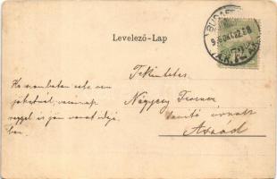 1906 Budapest I. Látkép és Gellért szobor, Tabán, Döbrentei tér, Lánchíd, Királyi vár (EK)