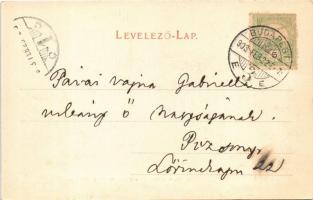 1903 Budapest I. Látkép, Lánchíd, Margitsziget, Margit híd