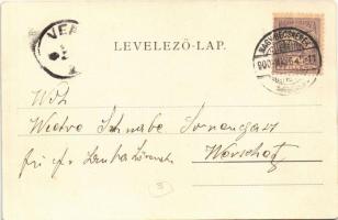 1900 Nagybecskerek, Zrenjanin, Veliki Beckerek; Dániel villa, Bega part, polgári iskola. Grosits J. ...