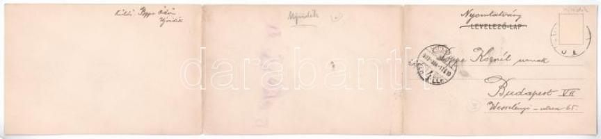 1902 Újvidék, Novi Sad; hajóhíd és vasúti híd. Három részes kinyitható panorámalap, Herger Ágoston k...