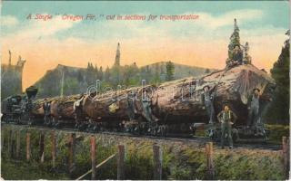 Oregon, a single Oregon Fir cut in sections for tarnsportation, industrial railway, locomotive