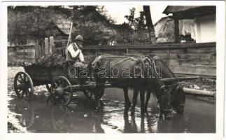 Csík megye, itató székely. Androsy Aladics Zoltán mérnök felvétele / Comitatul Ciuc, Transylvanian folklore