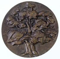 Martsa István (1899-1986) 1964. "Bábolnai Állami Gazdaság" öntött Br plakett (~86mm) T:2