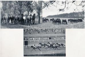 24 db MODERN lovas sport motívum képeslap (Képzőművészeti Alap Kiadóvállalat) / 24 modern motive postcards: equestrian sports