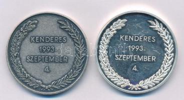 Bozó Gyula (1913-2004) 1993. "Vitéz Nagybányai Horthy Miklós újratemetése Kenderesen" jelz...