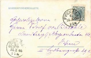 1905 Wien, Vienna, Bécs; Städtische Kaiser Franz Joseph-Jubiläums-Lebens- und Renten-Versicherungs-A...