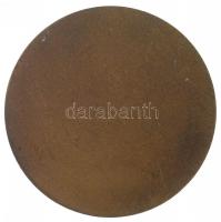 DN "Bartók Béla emlékérem" egyoldalas Br érem (60mm) T:1-