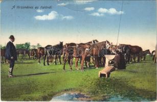 1916 A törzsménes az itatónál / Hungarian folklore, horses (fa)