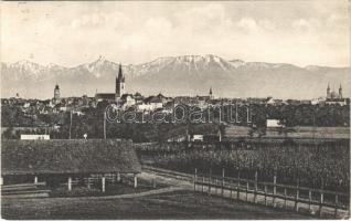 1916 Nagyszeben, Hermannstadt, Sibiu; látkép. Kunstanstalt Jos. Drotleff Nr. 12. / general view (EK)