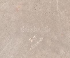 Nagy méretű ezüst (Ag) pudrié kivehető fém betéttel. Jelzett, bruttó (fémbetét nélkül): 171 g. d: 12...