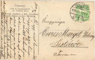 1913 Pozsony, Pressburg, Bratislava; légi felvétel léghajóból 7000 m magasságból (Dr. Schlein Bécs)....