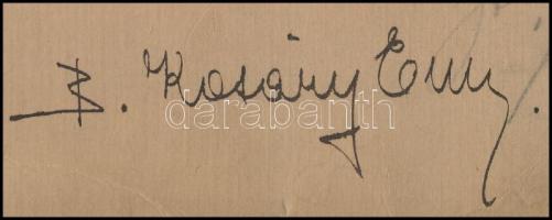1913 Kosáry Emmy(1889-1964) színésznő dedikált fotója, kartonra ragasztva, 23×17 cm