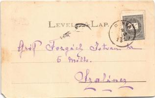 Bély, Biel; Sennyey kastély, Botyán kastély, Páczin kastély. Fénynyomat Divald K. fia / castles. Flo...