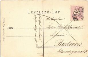 Perlak, Prelog; Gasparics (Gasparich) ünnepély Perlakon 1903. szeptember 13-án. Dr. Zakál beszéde. A...