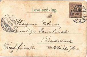 1901 Krampus with Saint Nicholas. Rafael Neuber S. 45. s: E. Döcker jun. (EB)