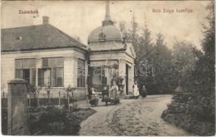 1918 Zsámbok, Biró Zsiga kastély. Salgó Dezső kiadása (Rb)