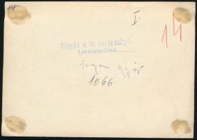 cca 1930 Diósgyőri m. kir. vas- és acélgyár, vagongyár, hátoldalon feliratozott fotó, 11,5×16,5 cm