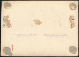cca 1930 Palatinus Építő és Idegenforgalmi Rt., vasútépítés, pecséttel jelzett fotó, 11,5×16,5 cm