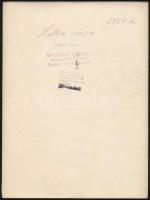 cca 1930 Léka vára, Daday László pecséttel jelzett fotója, feliratozva, 24×18 cm