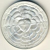 NSZK 1983. "Martin Luther" Ag emlékérem 35,2g T:1