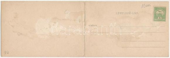 Ruttka, Vrútky; híd. Sochán P. 159-160. kétrészes kinyitható panorámalap / bridge. 2-tiled folding p...