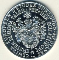 NSZK DN "Robert Schuman" Ag emlékérem 25,2g T:BU