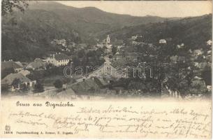 1902 Dognácska, Dognatschka, Dognecea; A. Rosner