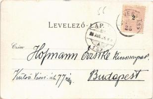 1898 (Vorläufer) Verbász, Vrbas; Református és evangélikus templom, gimnázium, Ó-verbászi park. Boro...