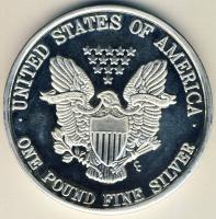 USA 1994. 1 Pound Troy Ag "Liberty" (375,4g!) T:exPP R!