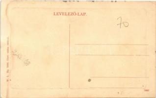 Zsibó, Jibou; Rákóczi utca, ökörszekér. W.L. Bp. 7095. 1910-11. / street, oxen cart (EK)