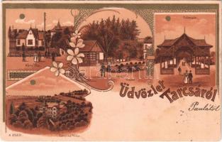 1901 Tarcsa, Tatzmannsdorf; Carolina és Mária villa, Gyógytér, Colonnade / villas, spa. Art Nouveau, floral, litho