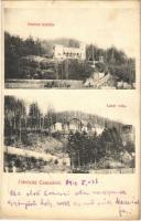 1912 Csucsa, Ciucea; Boncza kastély, Lázár villa / castle, villa